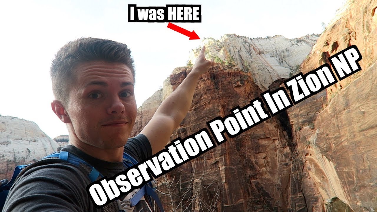Hiking To Observation Point, The Best View In Zion National Park