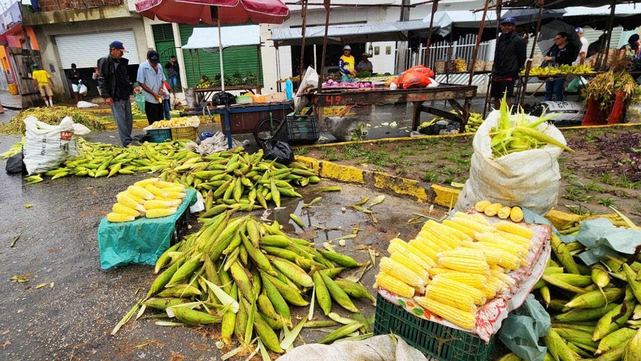 CHUVA E FARTURA NA FEIRA EM CUPIRA-PE. CUSTO DE VIDA BAIXO É NO NORDESTE!