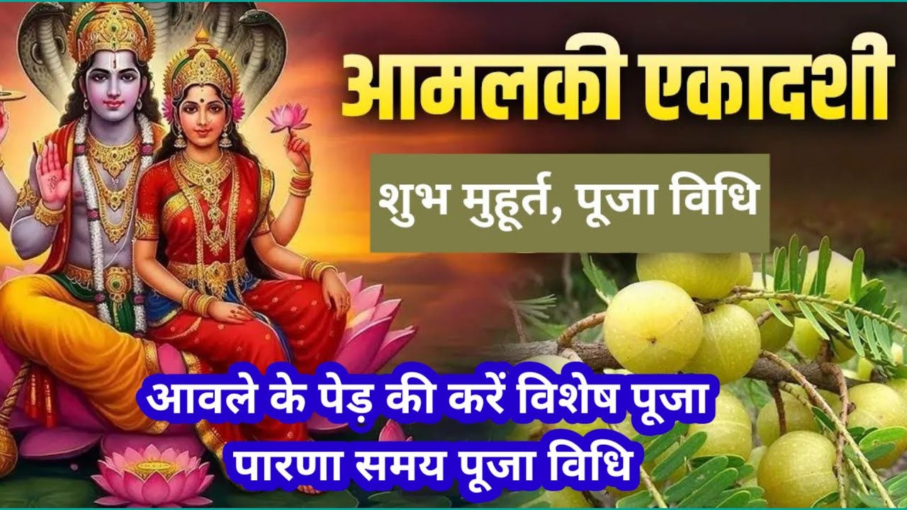 आमलकी एकादशी 2026 कब है? पूजा विधि | शुभ मुहूर्त | आंवला पेड़ पूजा !एकादशी व्रत की सम्पूर्ण विधि |