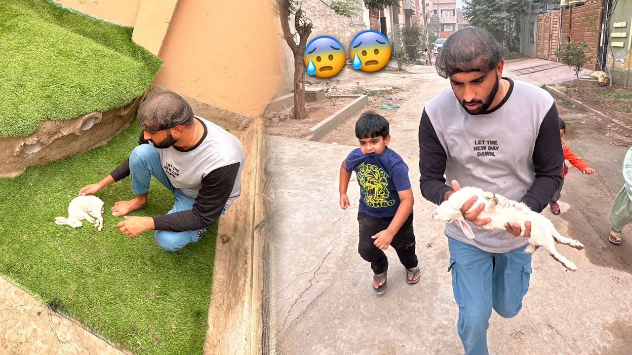 Emergency🚨Ye Achank Rabbit Ko Kia Hoa Gea