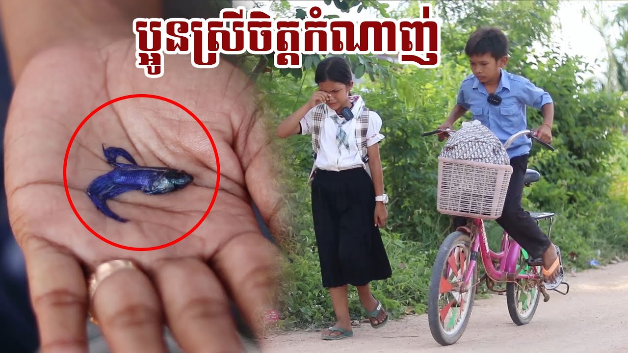 ប្អូនស្រីចិត្តកំណាញ់ By Cocomo