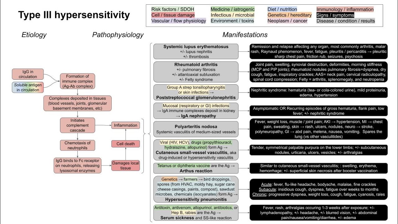 Type III hypersensitivity (mechanism of disease) with examples