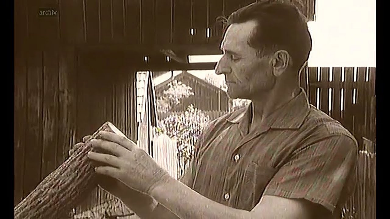 Fujara Detvianska, Nosáľ 1970
