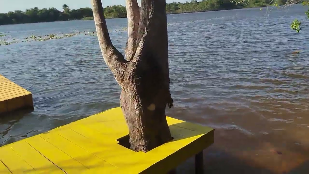 Rio preguiça um rio perigoso em Barreirinhas MA 