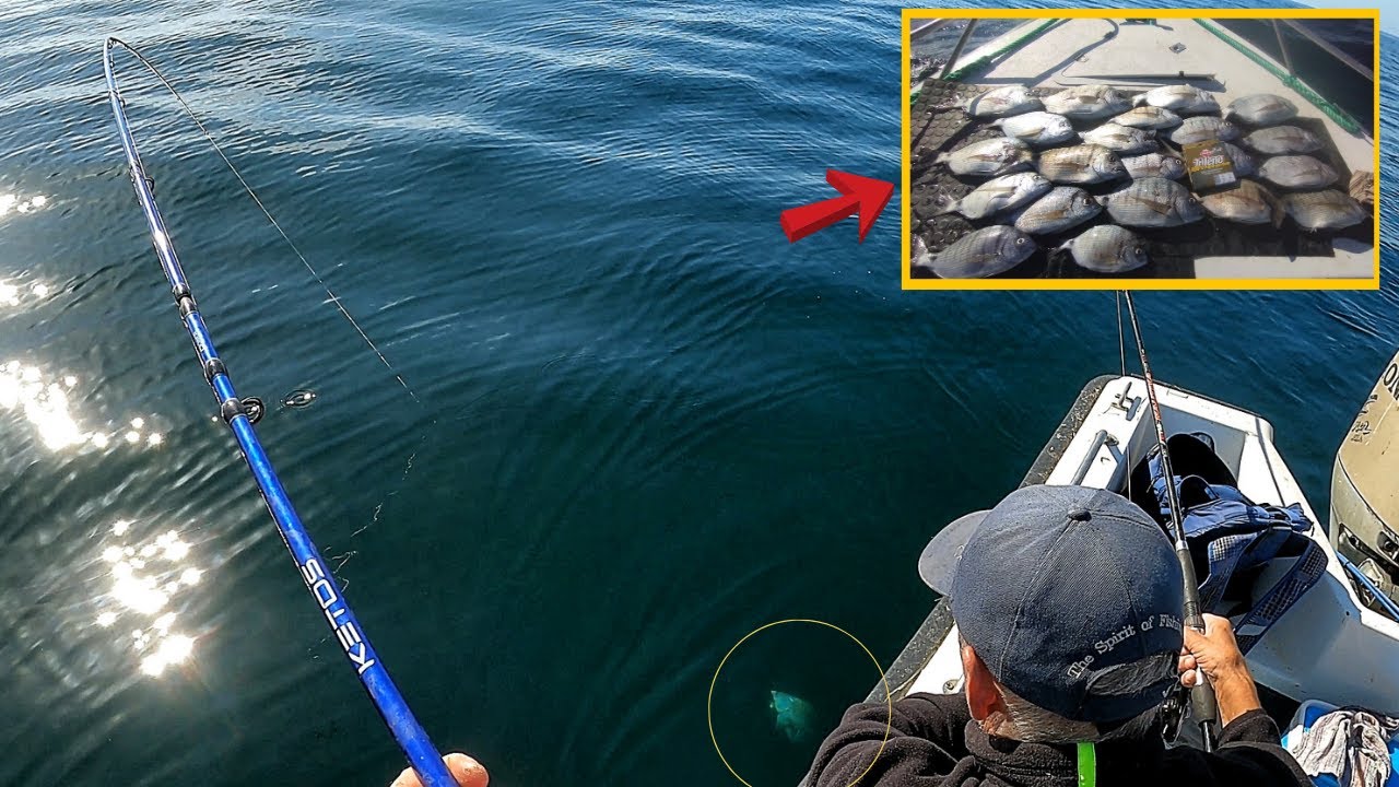 CHUMBADINHA AOS SARGOS - SETÚBAL 