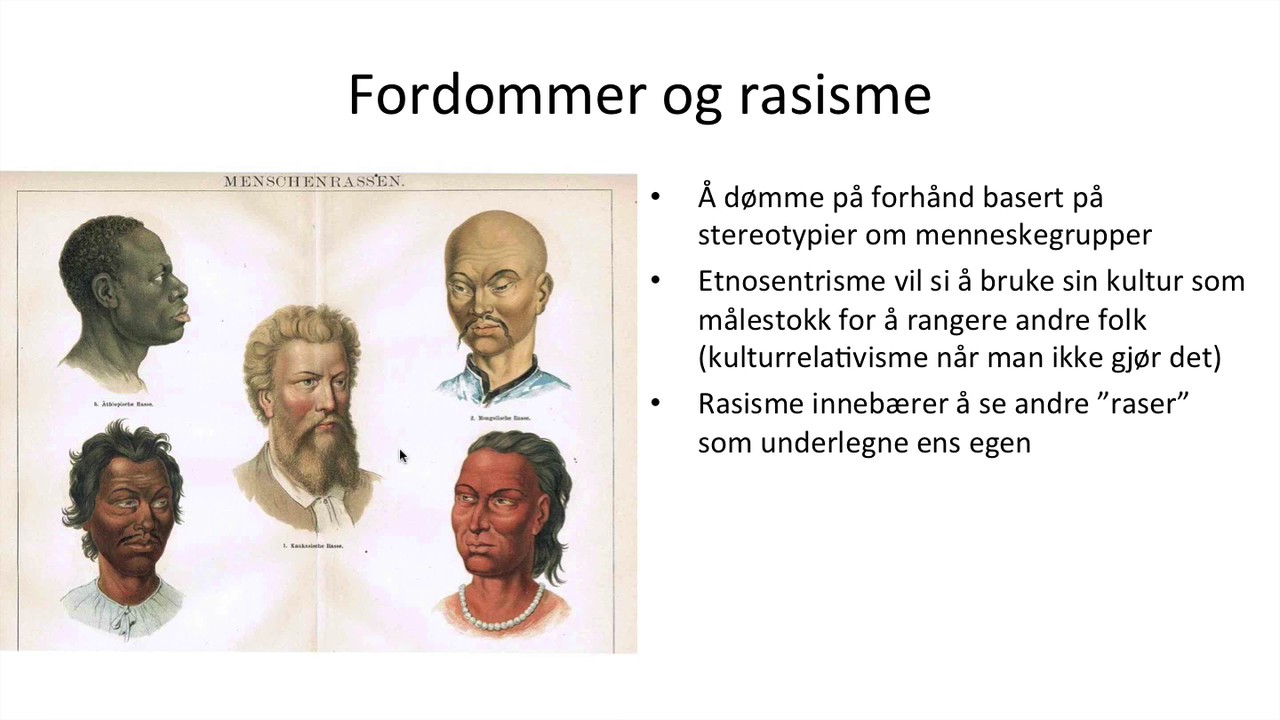 Samfunnsfag - Innvandring, flerkultur, fordommer og rasisme