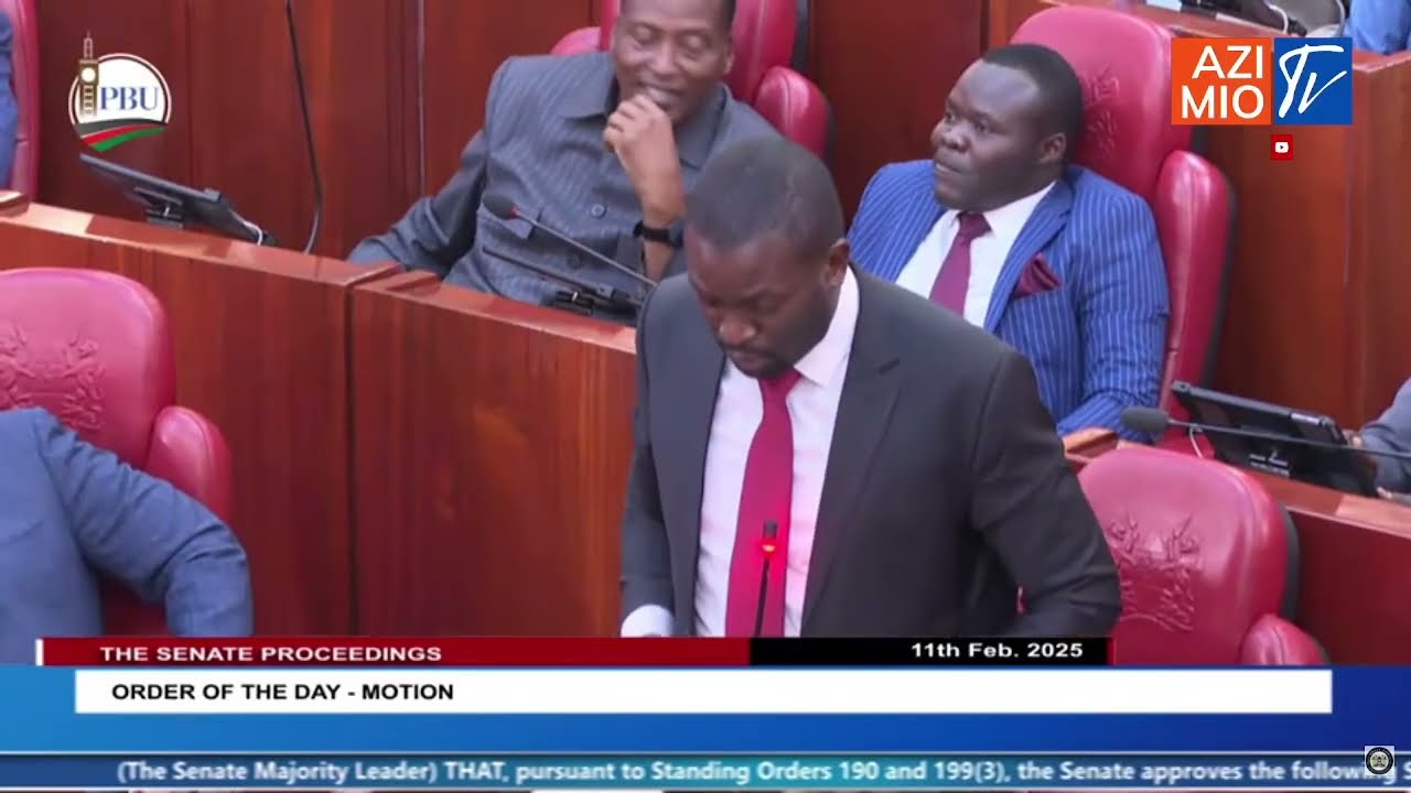 Sifuna SPEAKS at the Senate after court declared Azimio majority party