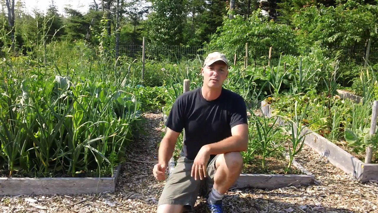 No rain? No problem!