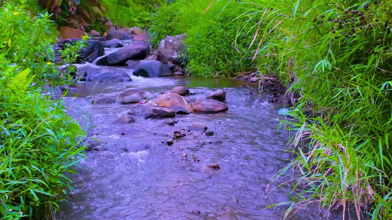 Mountain River Flowing Water | Natural White Noise Sounds for Deep Sleep and Relaxation Tonight