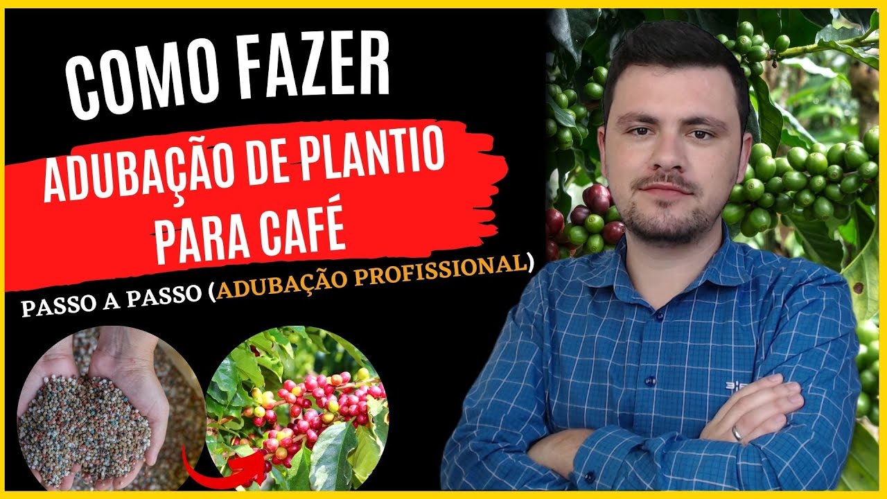 Como fazer adubação PROFISSIONAL para o plantio de CAFÉ