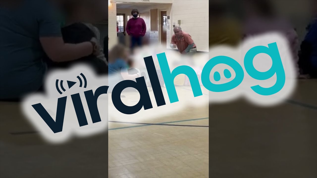 Brown Basilisk Lizard Makes a Break for Freedom || ViralHog