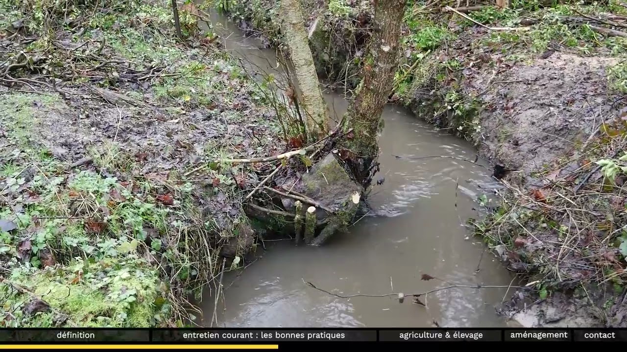 Les cours d’eau, entretien courant, aménagements, pratiquesagricoles
