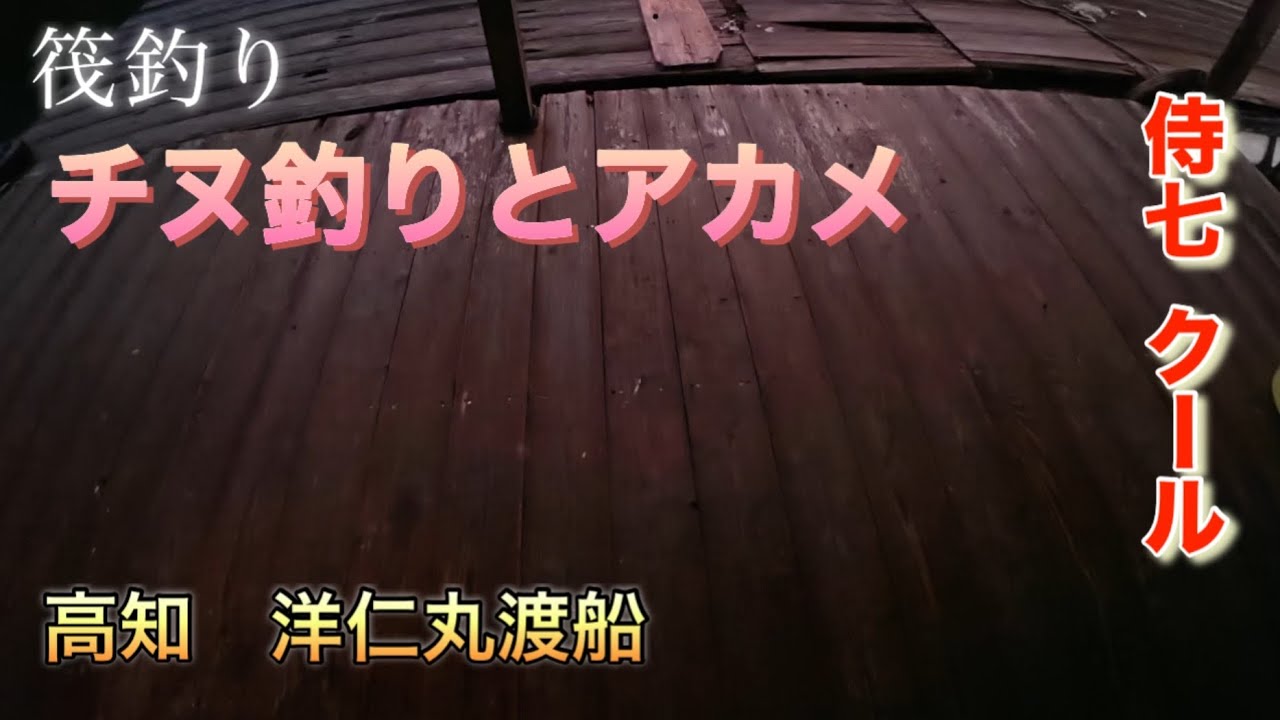 筏釣りしたら最高でした‼️