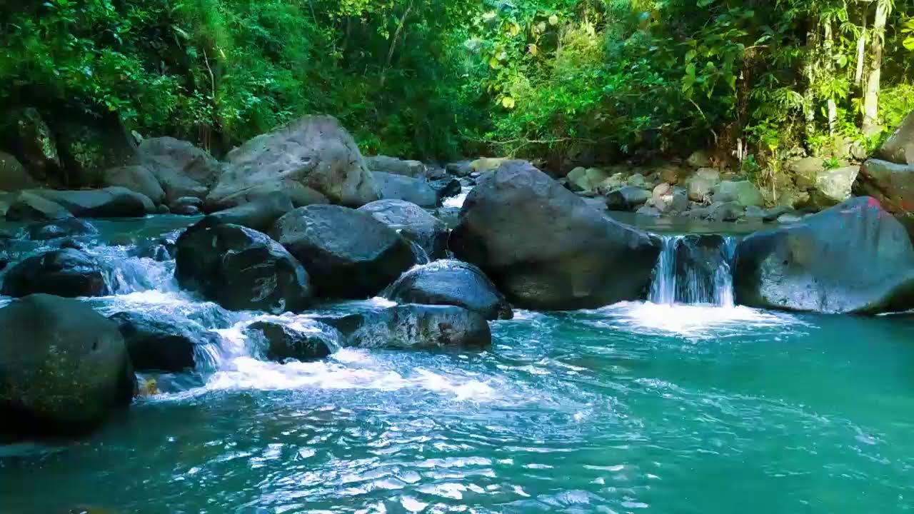 Forest Stream Sounds, 1+ Hour of Nature Sounds for Sleep and Relaxation