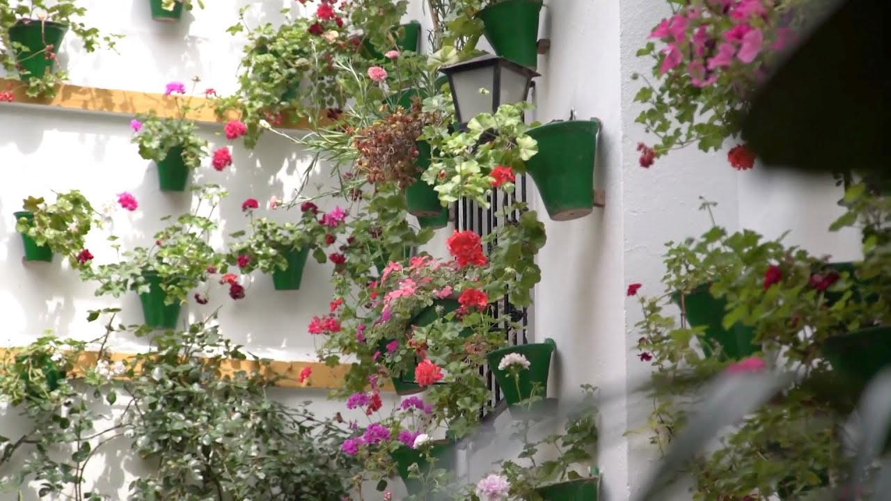 PATIOS DE CORDOBA 2021. C/ San Basilio, 22