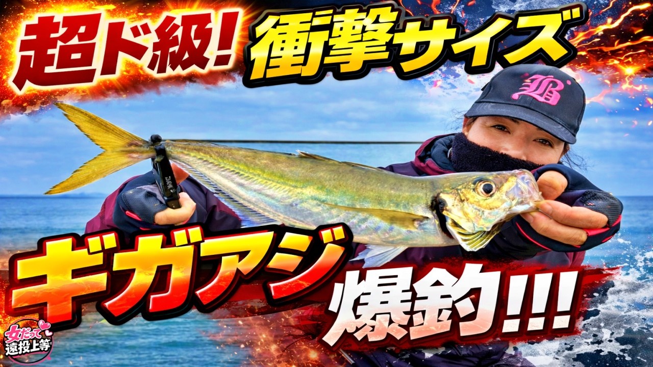 【神回】堤防からまさかのサイズ…遠投カゴ釣り！ハッピーフィッシングで○○40匹爆釣！