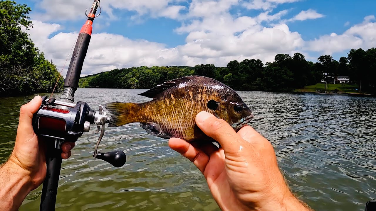 Old School Catfishing | Simple and Easy Way to Catch Catfish