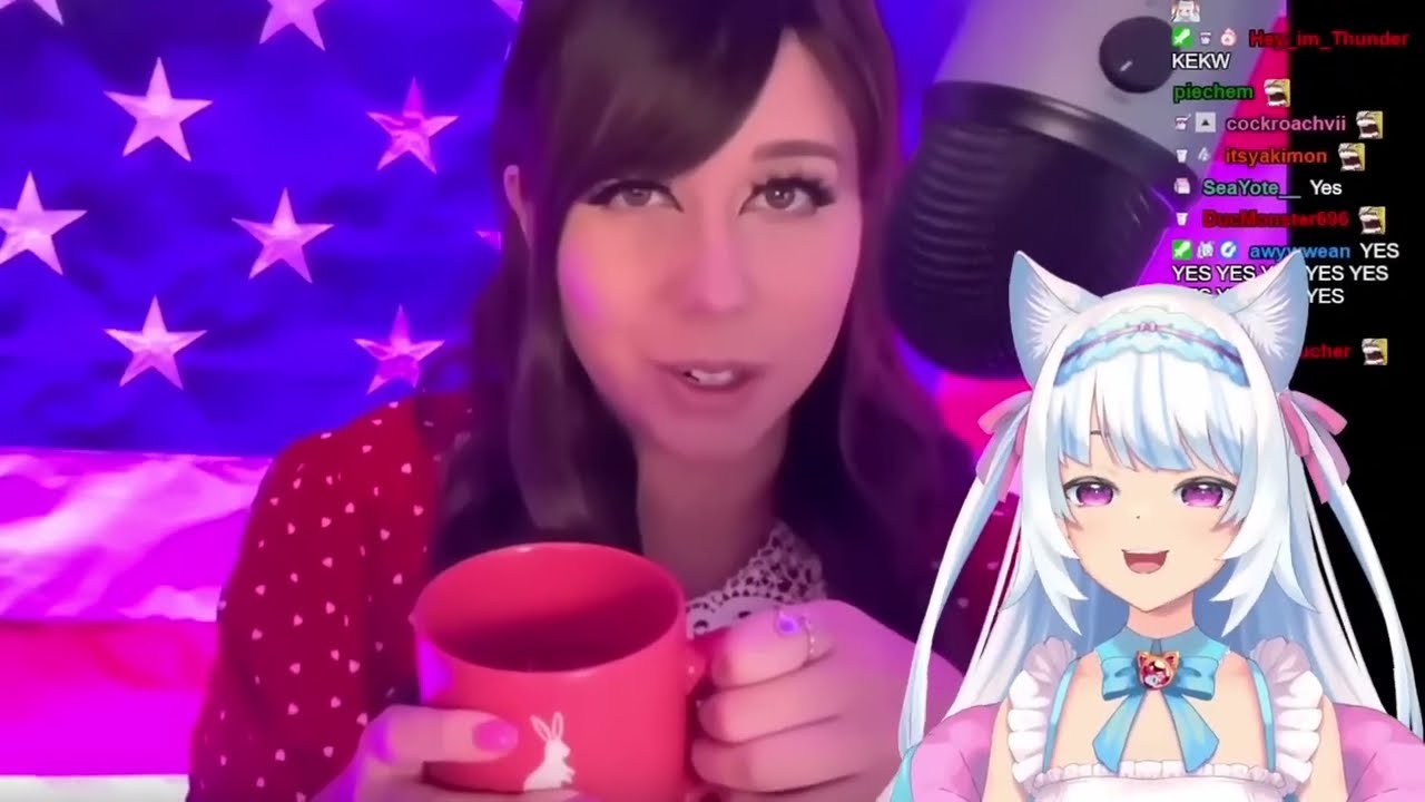 VTubers getting called out in Shoe0nHead's 