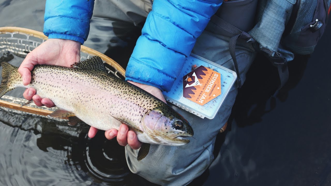 Strategies For Catching Trout - Choosing the Best Method