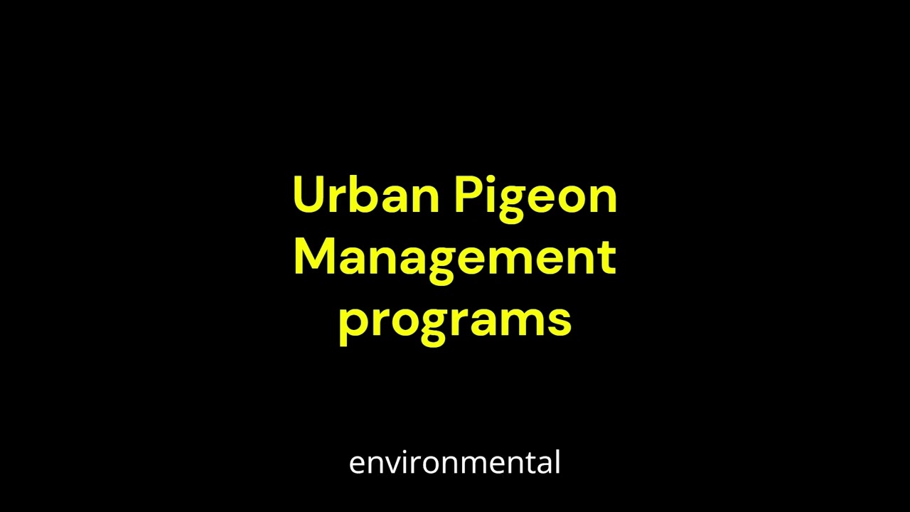 Urban Pigeon Management programs