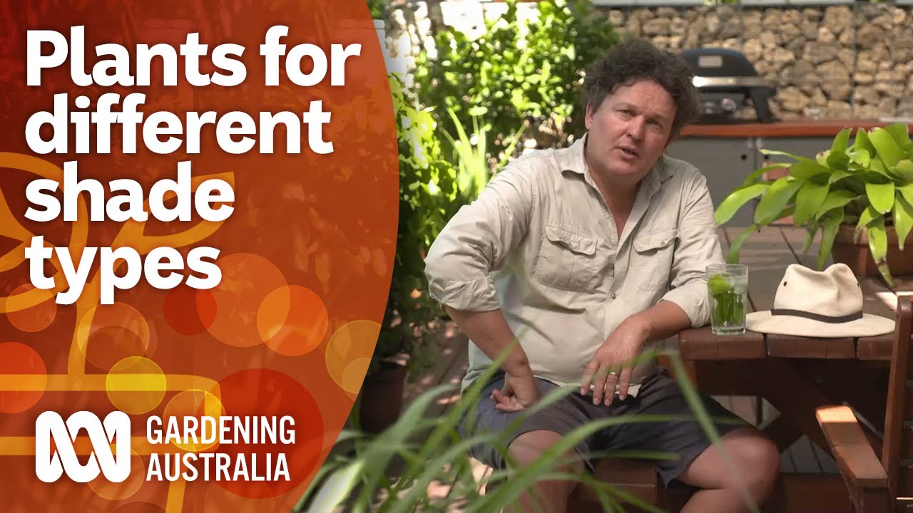 How to plan your garden around light and shade | Garden Design and Inspiration | Gardening Australia