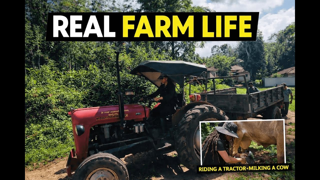 Riding a Tractor & Real Farm Life in Chikmagalur | Banana Farming & Cow Milking - Mythri Mosaic