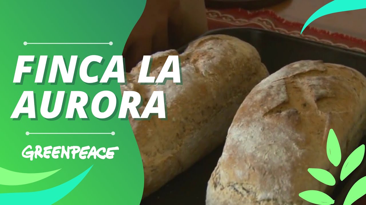 Finca La Aurora - Producción Sustentable