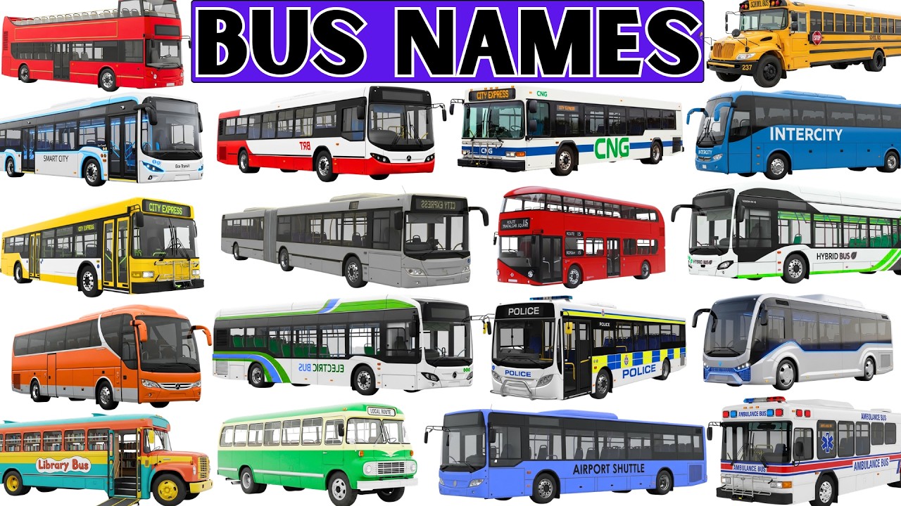 Автобусы для детей | Откройте для себя 20 автобусов: школьный автобус, городской автобус, двухэта...