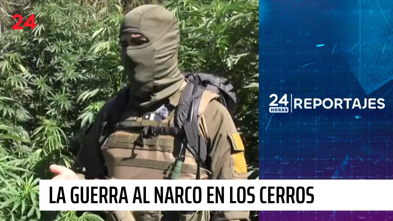 24 Horas Reportajes | La lucha contra el narco y plantaciones de marihuana