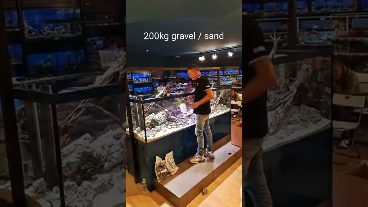 My biggest single live scape ever