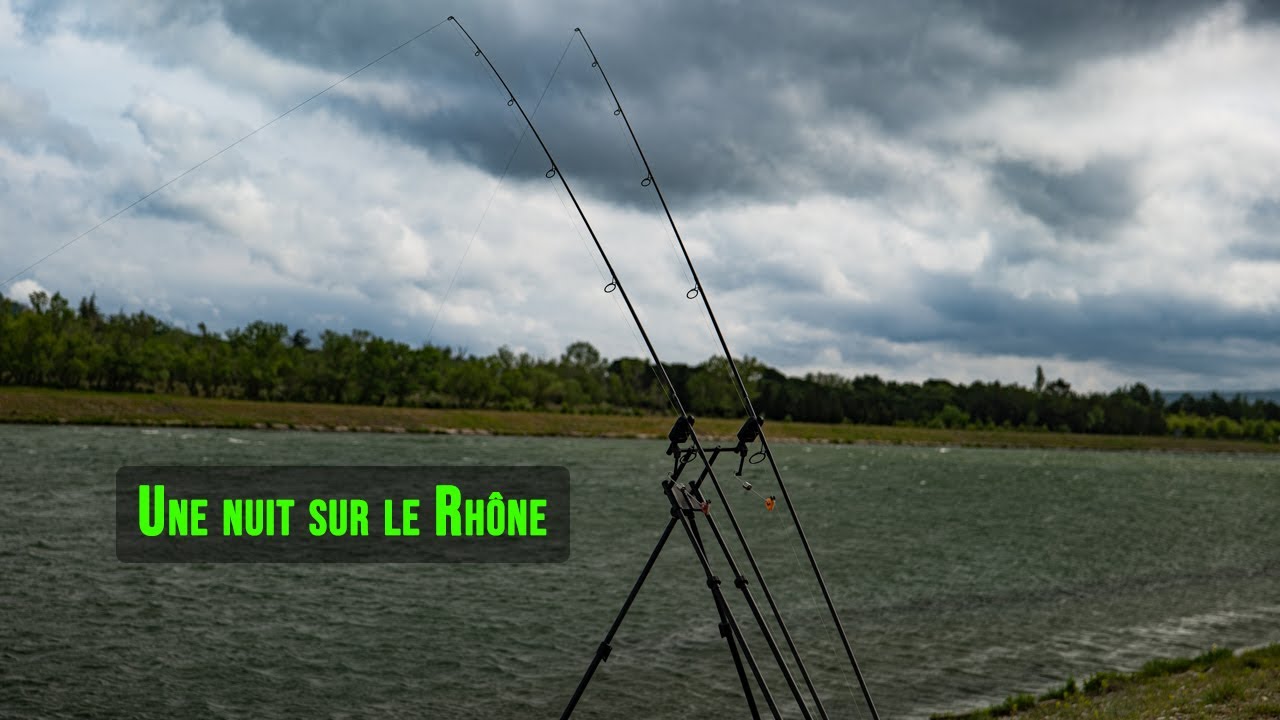 24h au bord du Rhône ~ Pêche de la carpe ~ Carpe Style