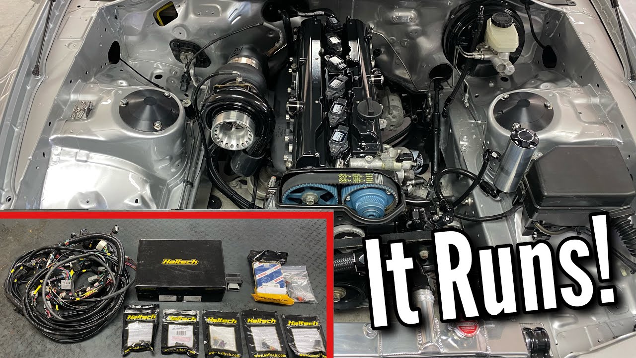 My Wifes Supra Starts! Haltech NEXUS R5 & Kaizen Wiring Harness
