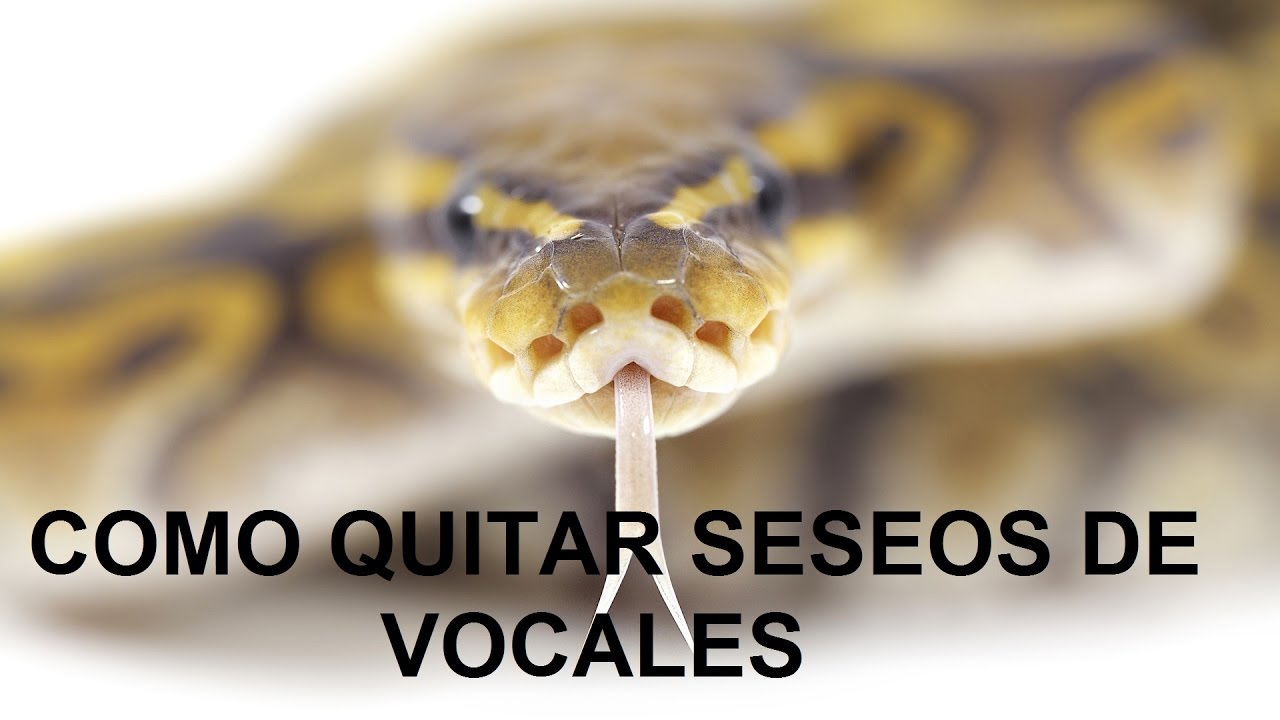 FL Studio Tutorial: Como quitar los seseos de vocales (De essing)