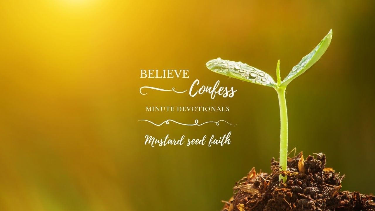 MUSTARD SEED FAITH