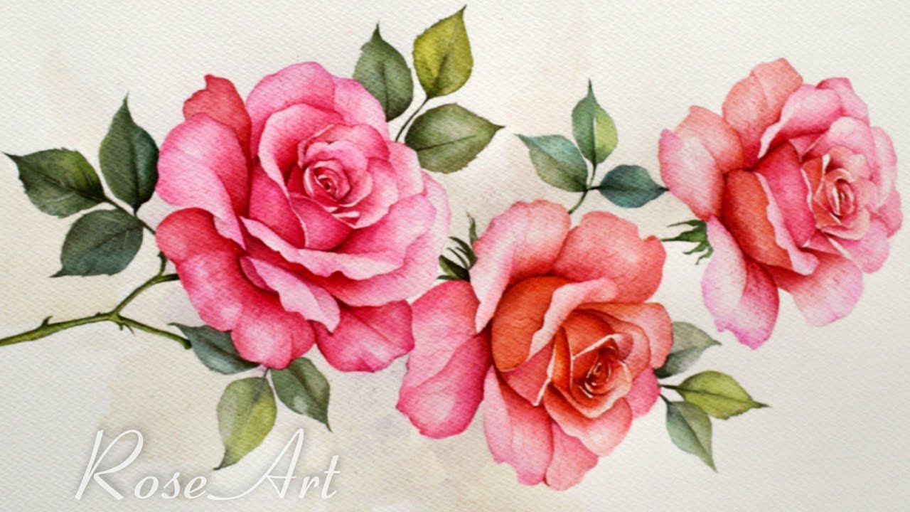 Beautiful Rose Watercolor Painting | Watercolor Illustration