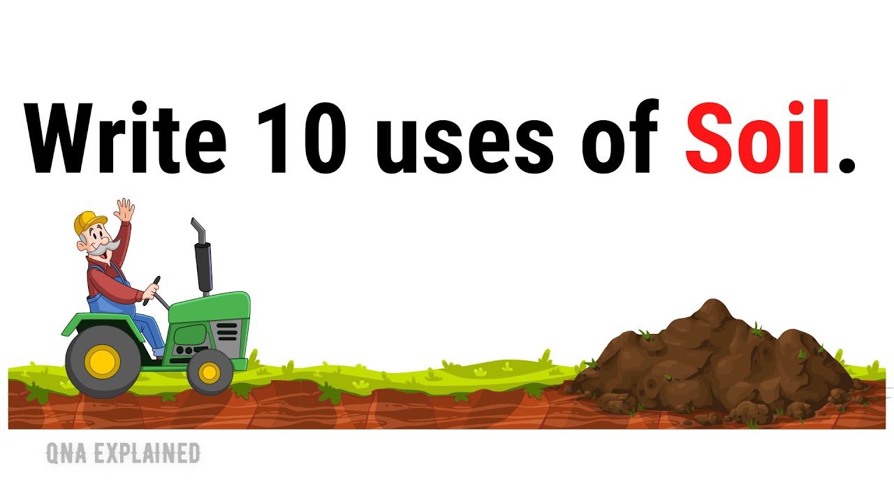 Write 10 uses of Soil. - QnA Explained