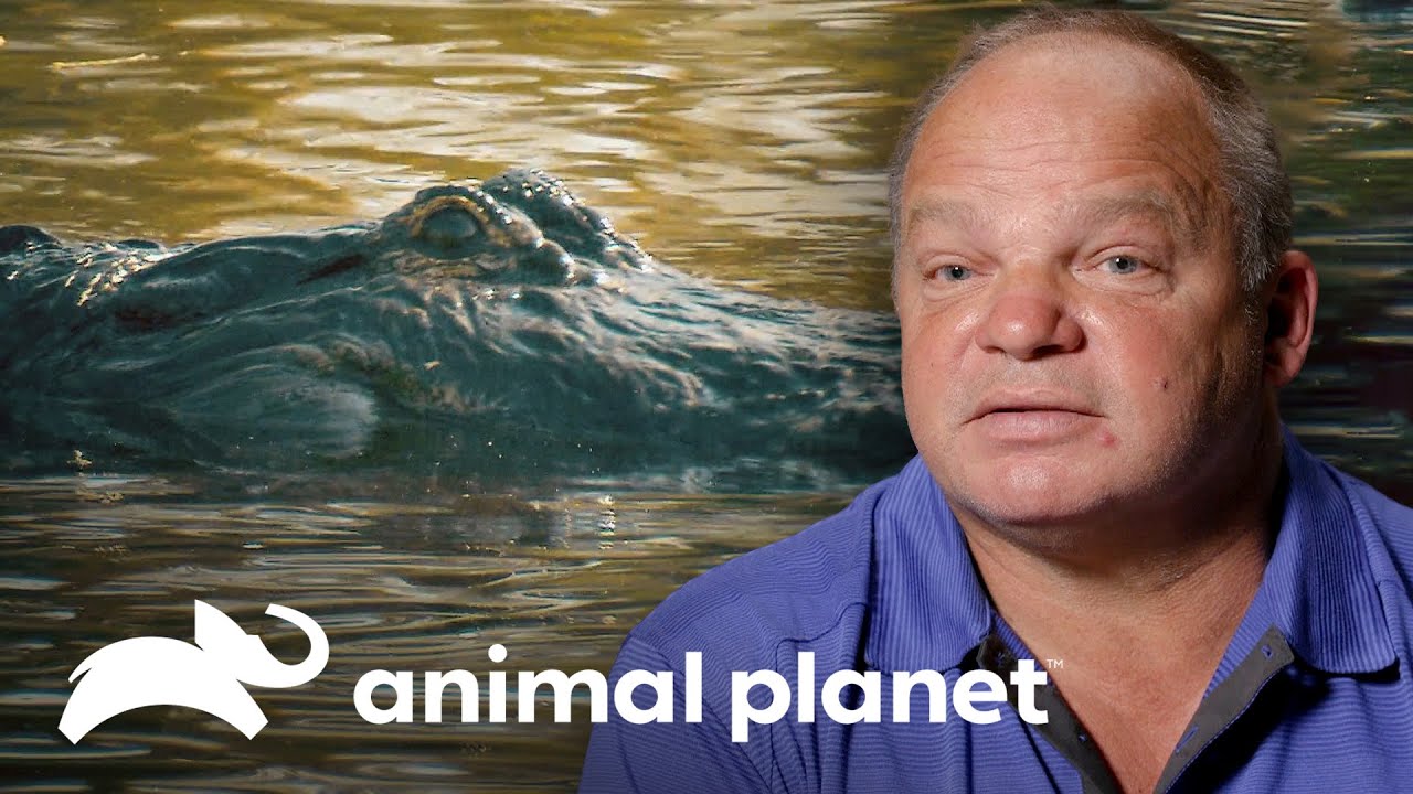 ¡Aterrador relato de una mordida de caimán de 200 kilos! | Solo y en peligro | Animal Planet