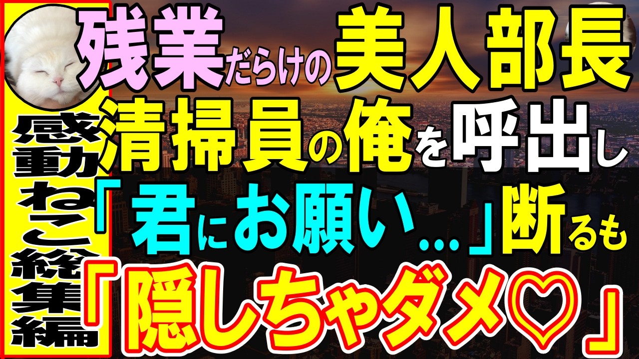 【感動する話】凄腕プログラマーだった過去を隠す俺。平凡な夜間清掃員をしていると運悪く元勤務先のビルに派遣されることに…美人部長が俺に助けを求めてきて…【いい話・泣ける話・朗読】