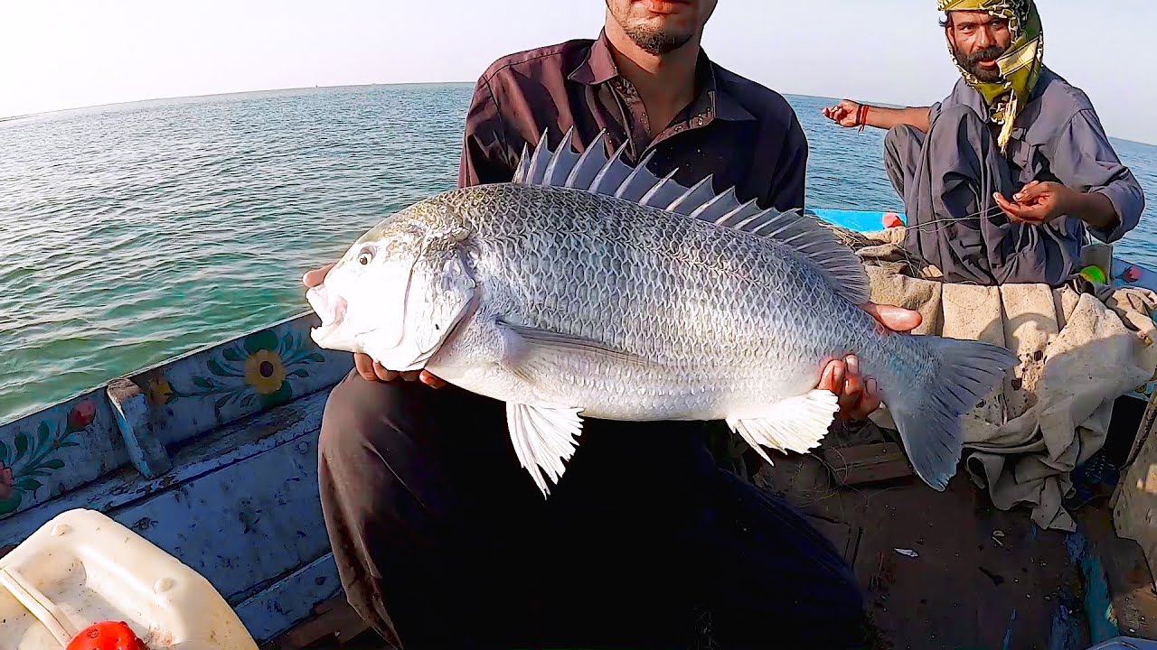 Mangroves Fishing In Pityani Creek Side Karachi 2021