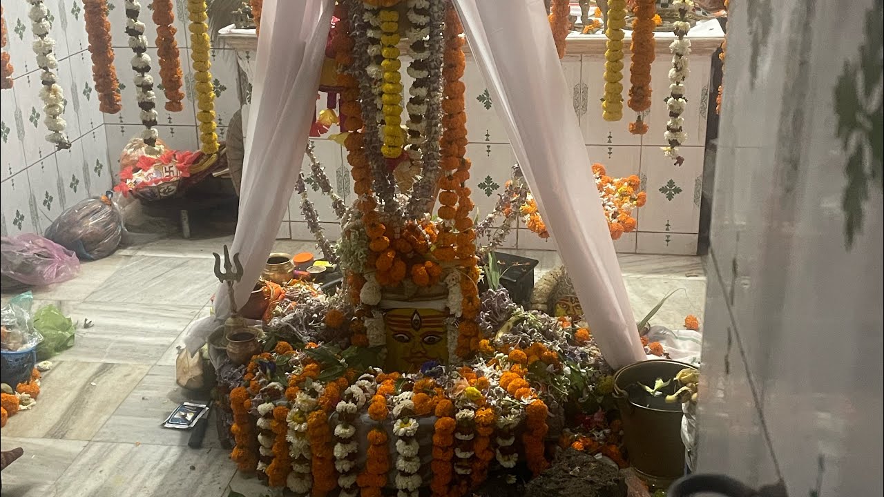 Mahashivratri Special Vlog 🕉️🙏🪷