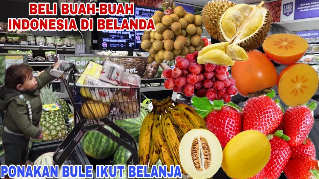 KE BELANDA BELI SEMUA BUAH-BUAH KHAS INDONESIA DI SUPERMARKET BELANDA