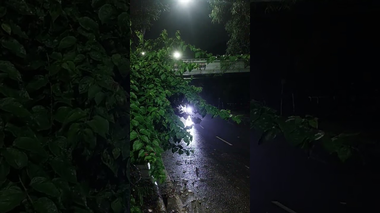 A rainy night sound || Part-1.2 || Ambient sound