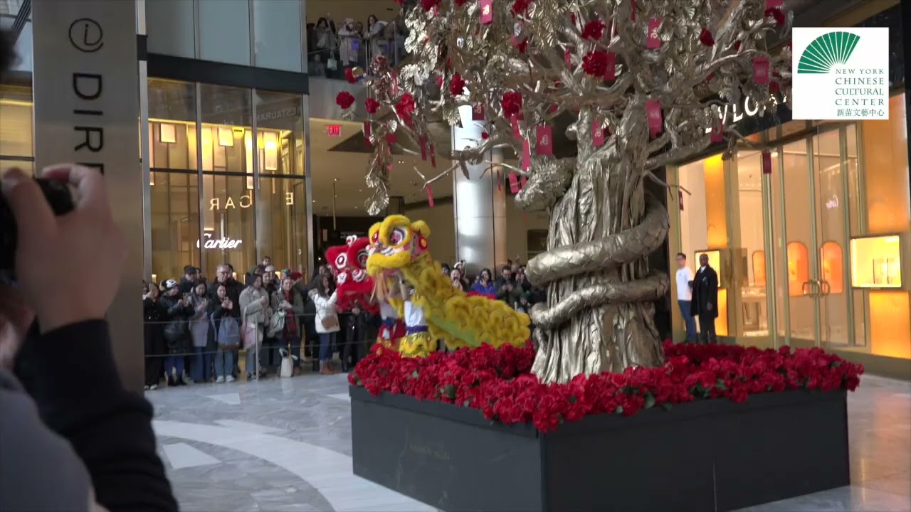 NYCCC Lunar New Year 2025 Performance at Hudson Yards - Lion Dance