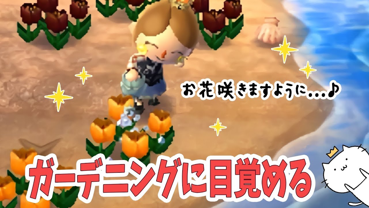 可愛い村目指してガーデニング始めました。とびだせ どうぶつの森 amiibo+ 実況プレイ