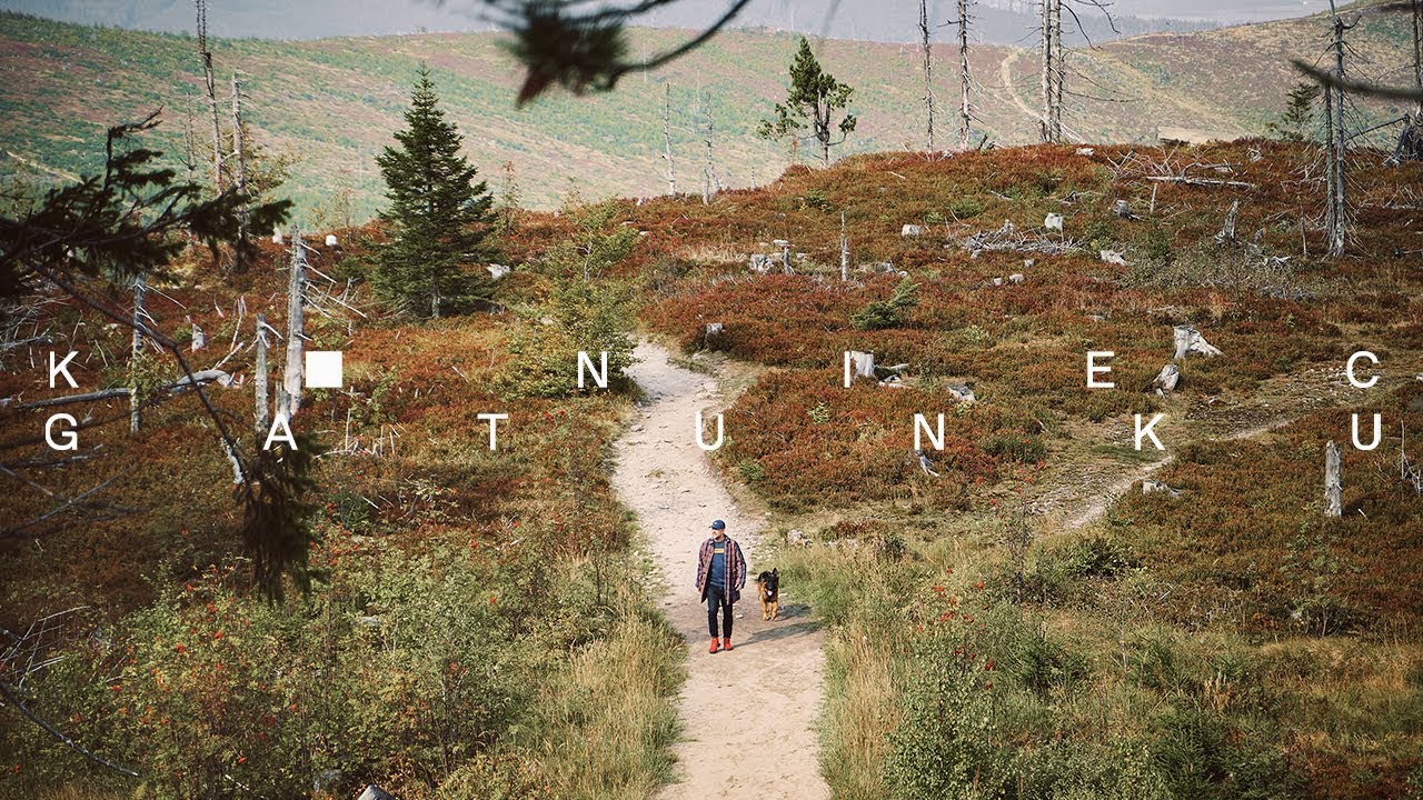 Sokół feat. Lena Osińska - Koniec gatunku