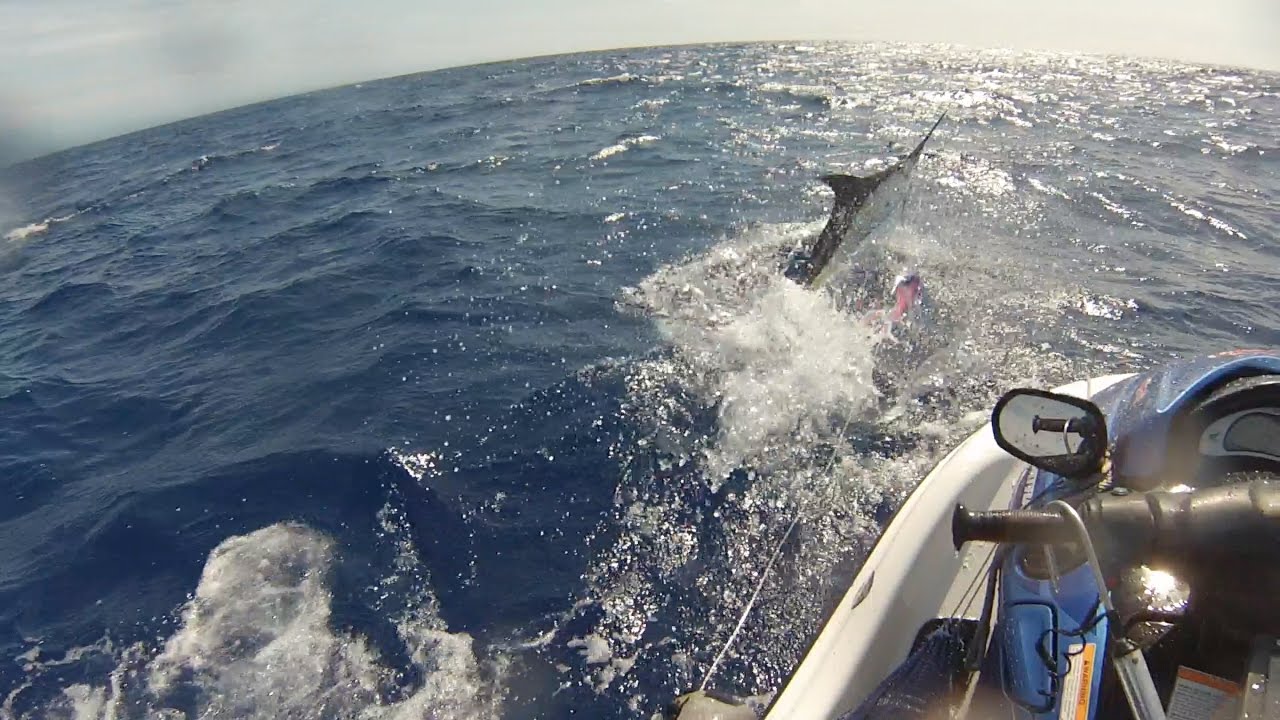 Jetski Fishing Hawaii marlin action