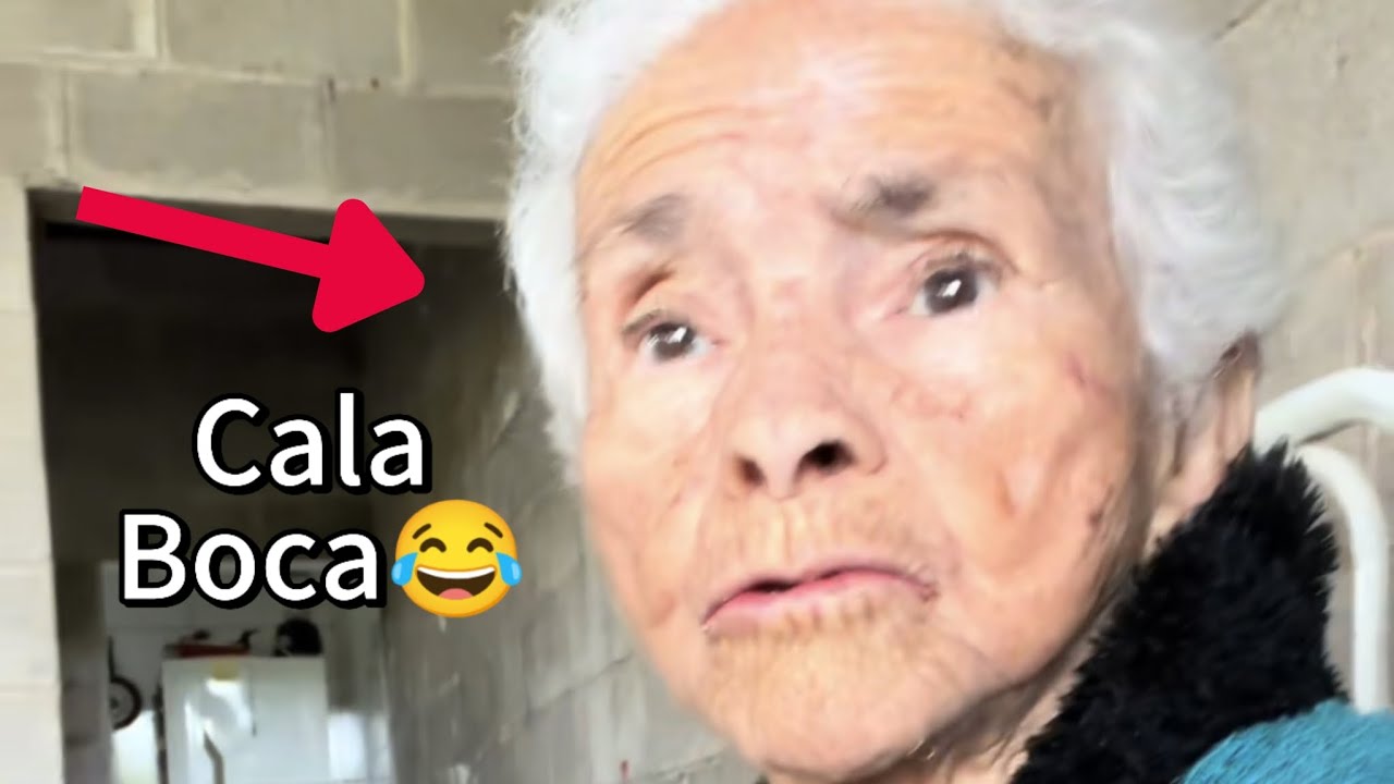 Vov&oacute; Valdeci chamou a mulher de gorda🫢😂