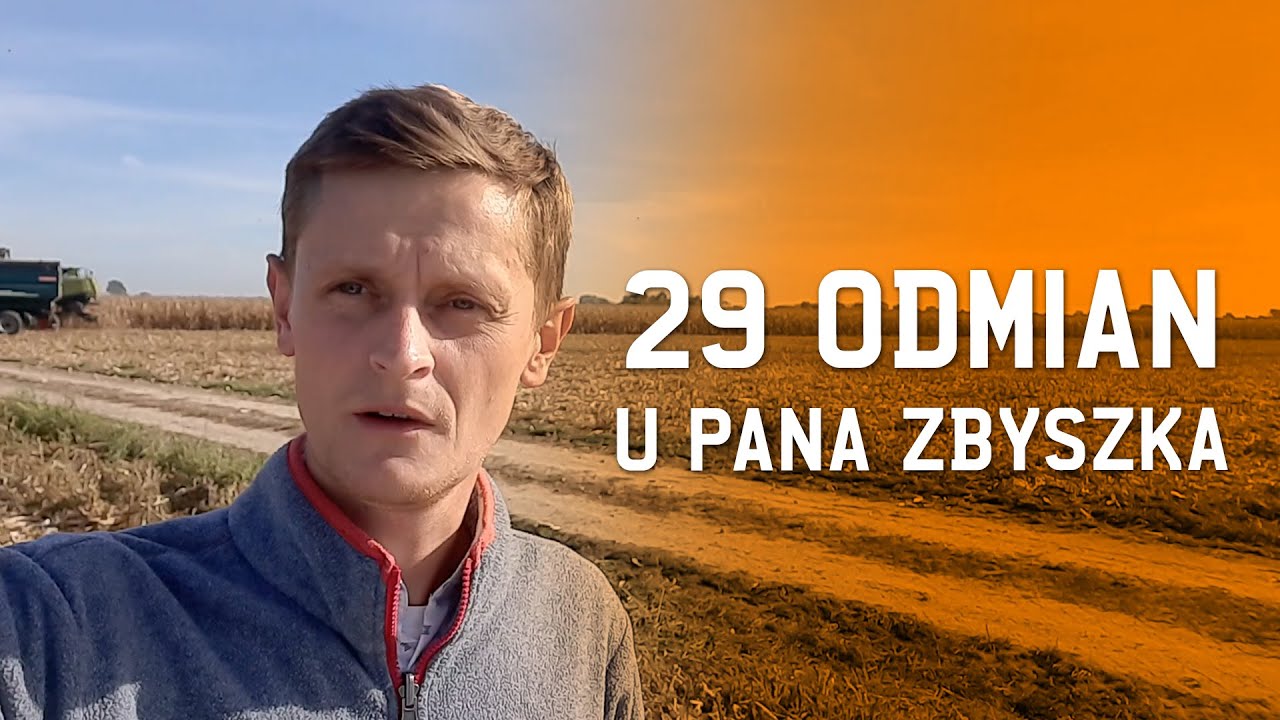 KOSIMY 29 ODMIAN QQRYDZY U P. Zbyszka