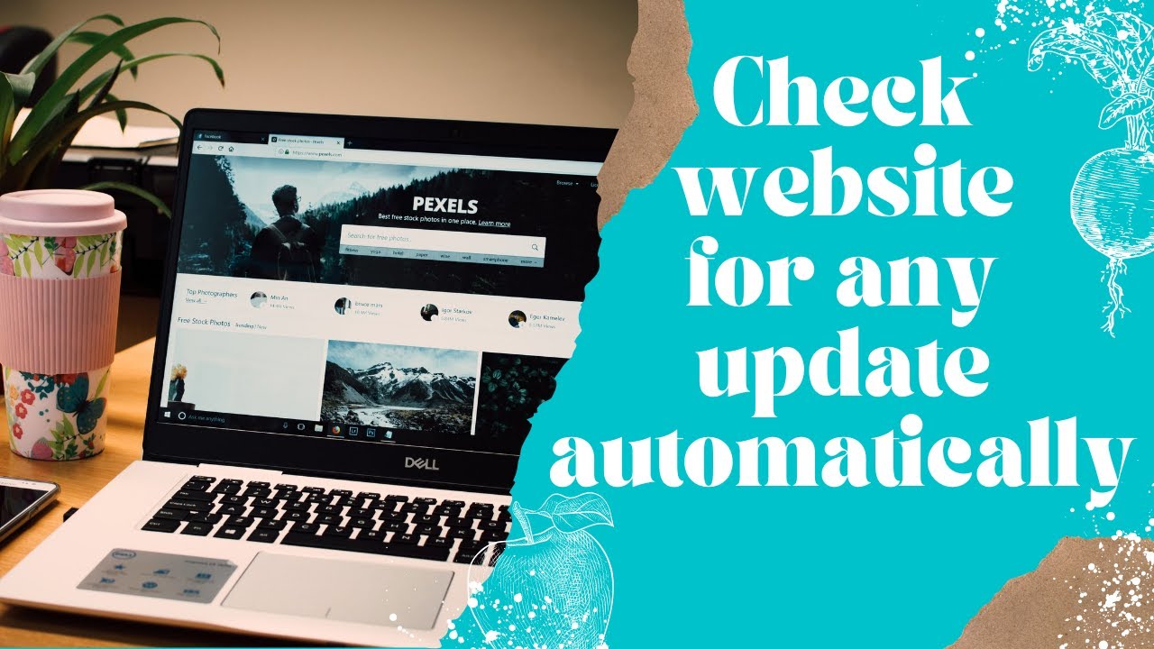 How to  check website for any update automatically