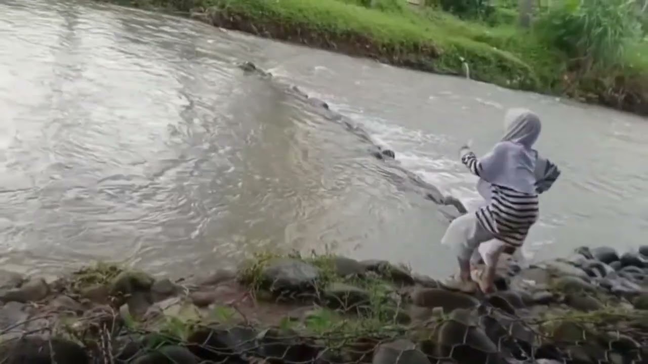Senja Menyentuh Jalan Sempit di Tengah Sawah : Pangulinan Astaraja Banjaran
